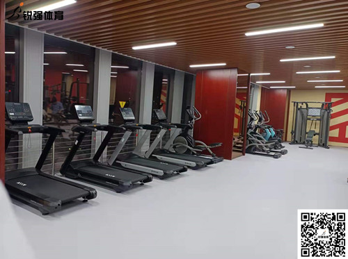 泛亚电竞完成的济南某部门单位健身房