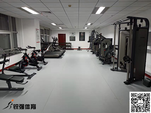 济南某集团采购的泛亚电竞提供的健身器材