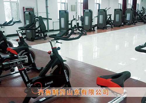​泛亚电竞为齐鲁制药呼和浩特分公司打造健身房